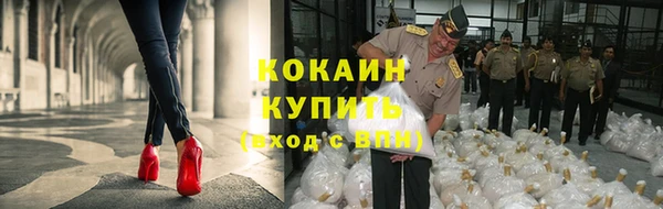 прущие грибы Баксан