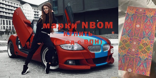 прущие грибы Баксан