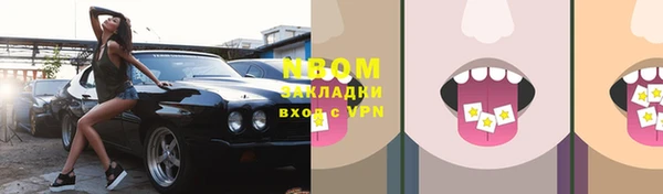 прущие грибы Баксан